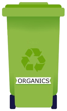 organics bin
